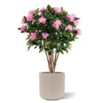 Rhododendron Kunstplant Deluxe, H: 115 cm Paars
