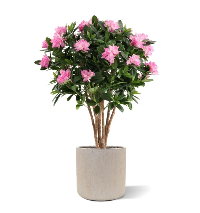 Rhododendron Kunstplant Deluxe, H: 115 cm Paars