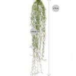 Tillandsia kunsthanger, H: 75 cm