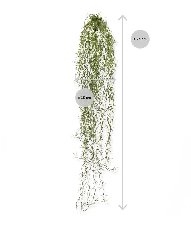 Tillandsia kunsthanger, H: 75 cm