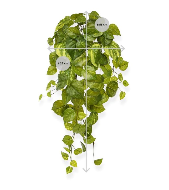 Pothos kunst hangplant, H: 55 cm – bont in pot