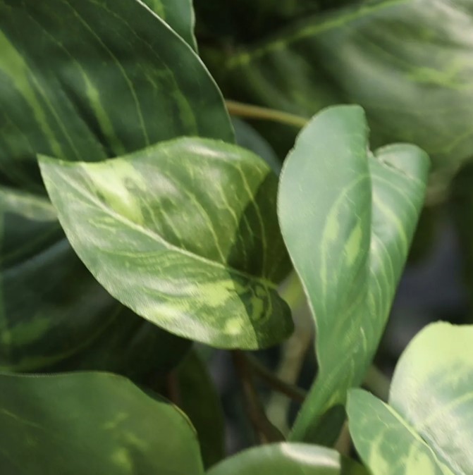 Pothos kunst hangplant, H: 55 cm – bont in pot
