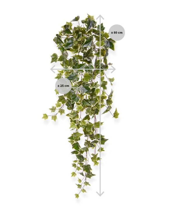 Hedera kunst hangplant, H: 80 cm – bont