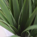 Bamboe kunstgras plant, H: 25 cm – groen