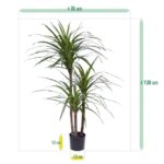 Draceana Marginata Deluxe kunstplant, H: 100 cm