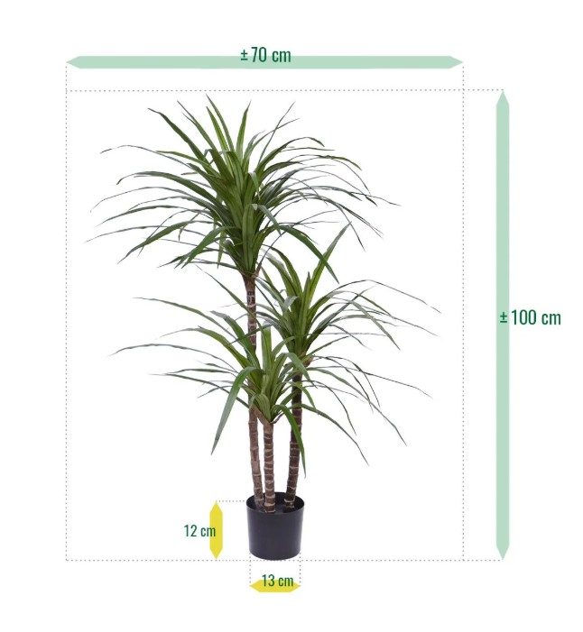 Draceana Marginata Deluxe kunstplant, H: 100 cm