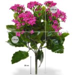 Kalanchoe kunstplant, H: 30 cm – paars