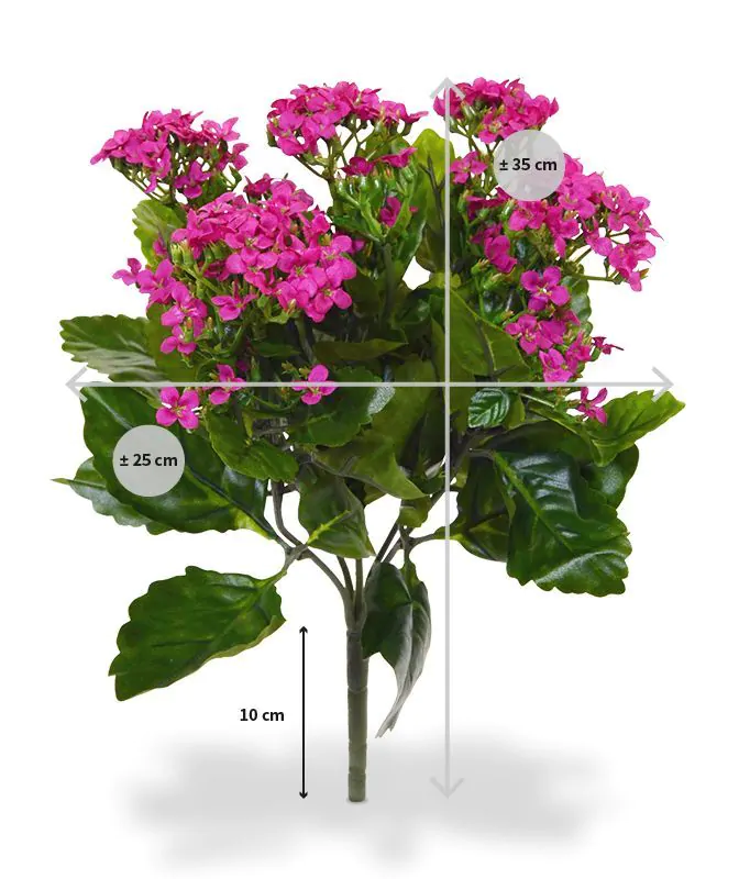 Kalanchoe kunstplant, H: 30 cm – paars