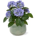 Hortensia kunstplant, H: 40 cm – blauw