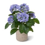 Hortensia kunstplant, H: 40 cm blauw in pot