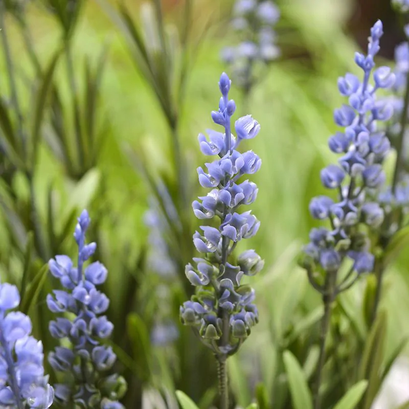 Lavendel kunstplant, H: 50 cm in pot – blauw – UV bestendig