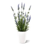 Lavendel kunstplant, H: 50 cm in pot – blauw – UV bestendig