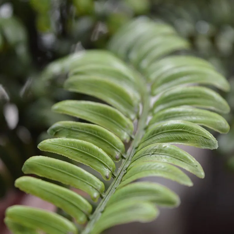Asplenium Varen kunstplant, H: 35 cm