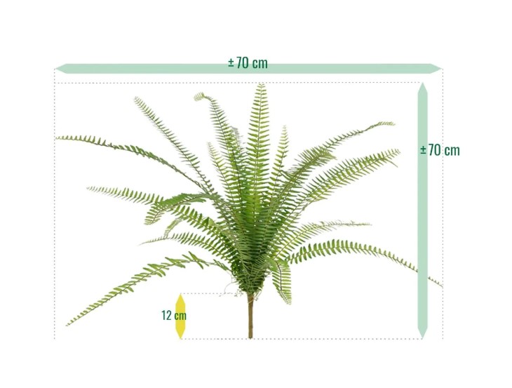 Asplenium Varen kunstplant, H: 75 cm