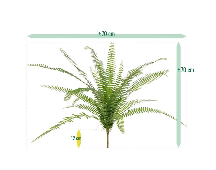 Asplenium Varen kunstplant, H: 75 cm in 12 cm pot