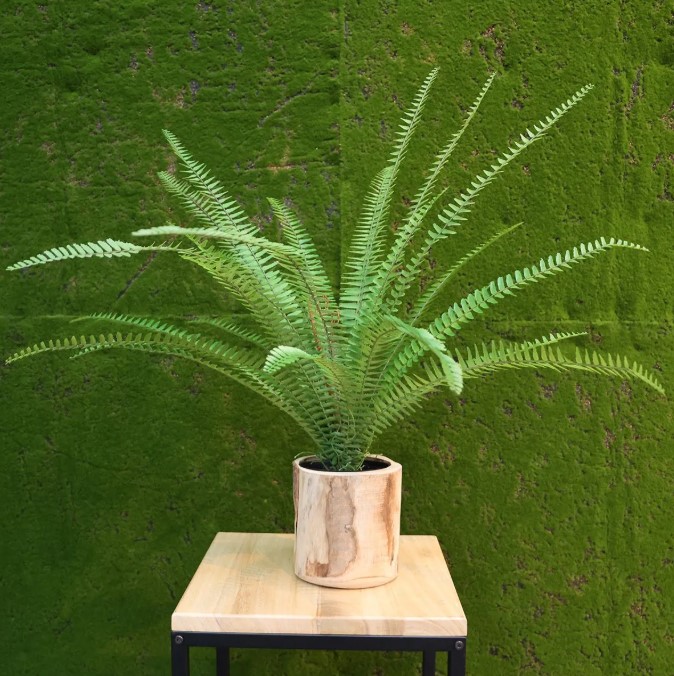 Asplenium Varen kunstplant, H: 75 cm in 12 cm pot