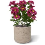 Chrysant kunstboeket, H: 35 cm burgundy