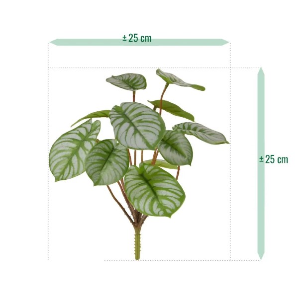 Pepperomia kunstplant, H: 25 cm