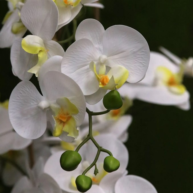 Phalaenopsis kunst Orchidee, H: 95 cm wit