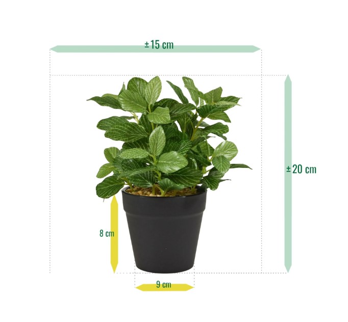 Fittonia bont kunstplant, H: 18 cm