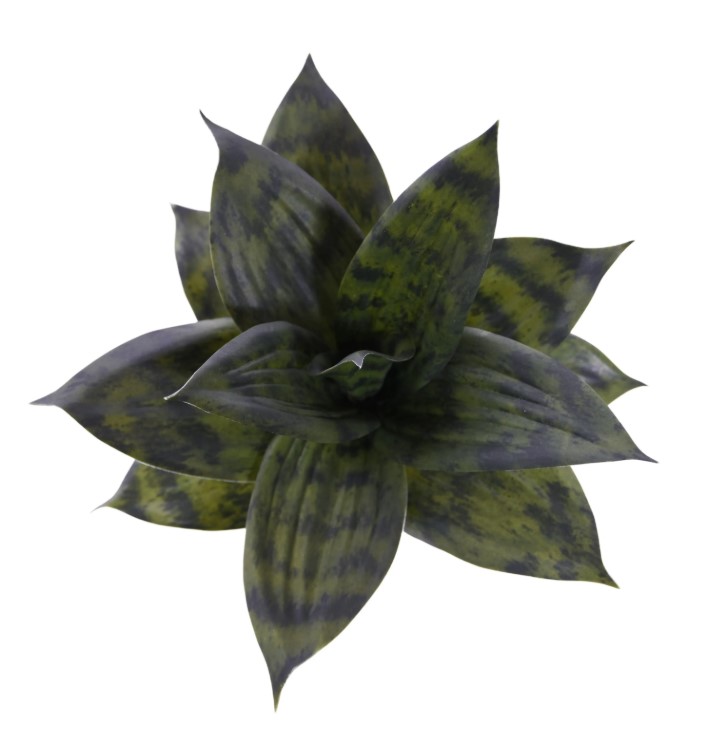 Sanseveria Kunstplant, H: 25 cm groen