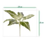 Dieffenbachia Vesuvius kunstplant, H: 35 cm