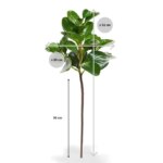 Peperomia Obtusifolia kunstbladtak, H: 50 cm