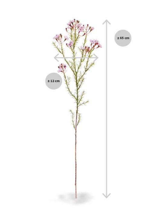 Waxflower kunsttak, H: 65 cm roze
