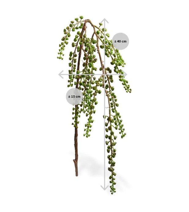 Karmozijn kunst Bessentak, H: 60 cm groen