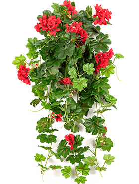 Geranium Cascade Hang Bush H: 72 cm rood – Kunstplant