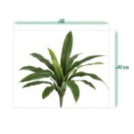 Asplenium Antiquum Kunstvaren, H: 40 cm