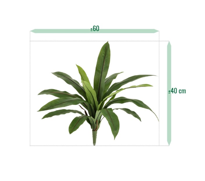 Asplenium Antiquum Kunstvaren, H: 40 cm