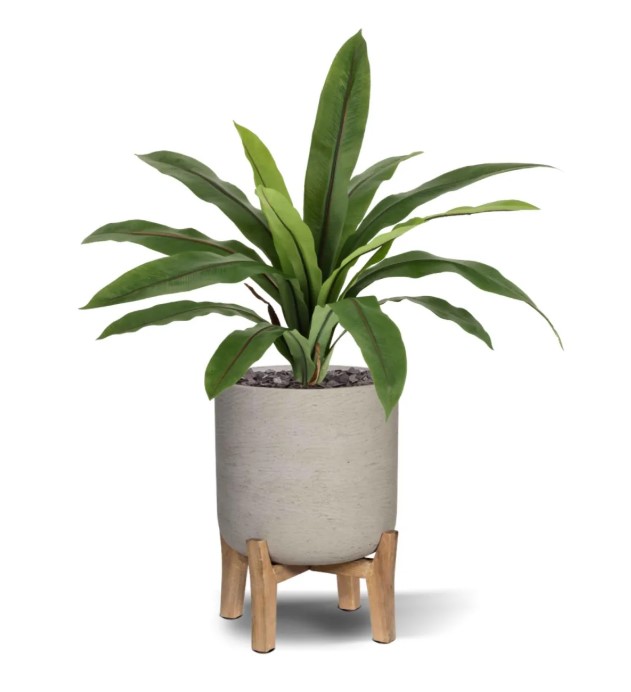 Asplenium Antiquum Kunstvaren, H: 40 cm