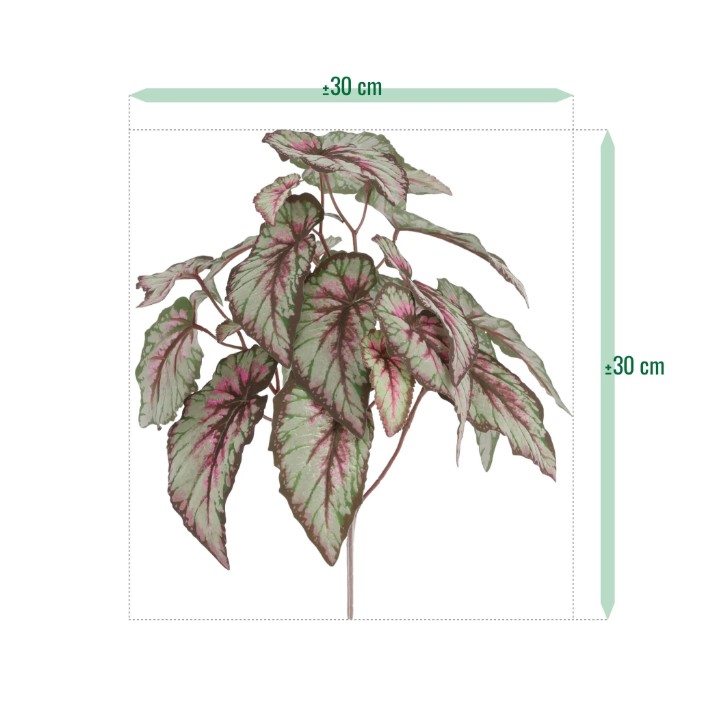 Bladbegonia Kunstplant, H: 33 cm
