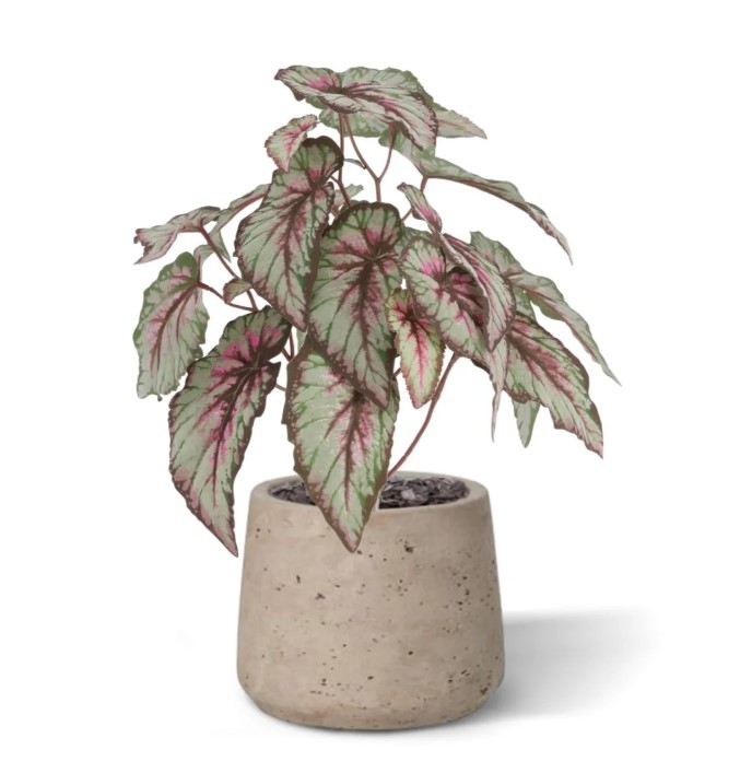 Bladbegonia Kunstplant, H: 33 cm
