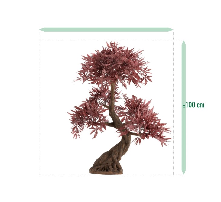 Japanse Acer Kunst Bonsai Deluxe, H: 100 cm Burgundy