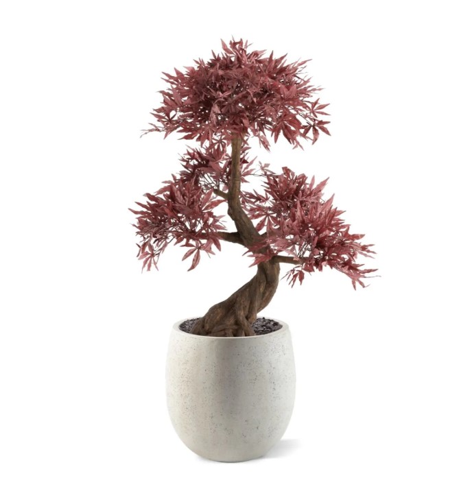 Japanse Acer Kunst Bonsai Deluxe, H: 100 cm Burgundy