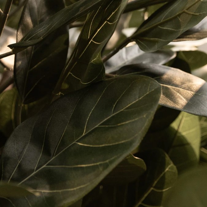 Ficus Audrey Kunstboom Deluxe, H: 120 cm