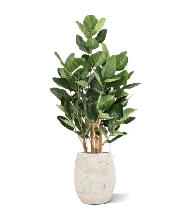 Ficus Audrey Kunstboom Deluxe, H: 120 cm