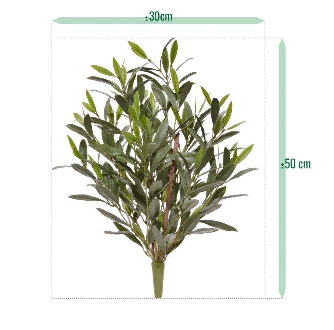 Olijf Kunstplant, H: 50 cm UV