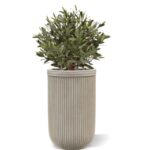 Olijf Kunstbol, H: 50 cm UV in pot