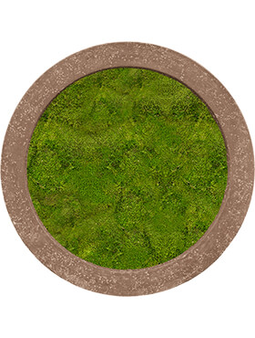 Mosschilderij, Polystone Rock 100% Platmos, diam: 80cm, H: 5cm